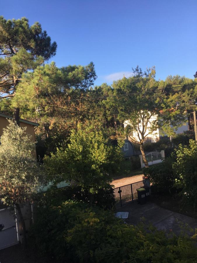 Villa L'Amiraute Agde Exterior photo